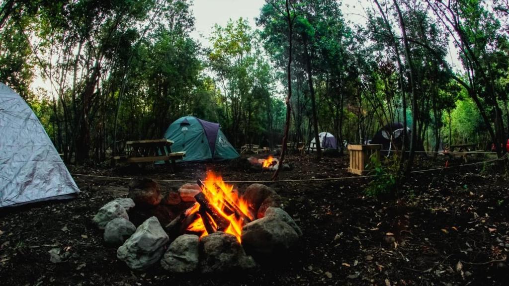 Gallery image of Camping Aldea Molco in Pucón