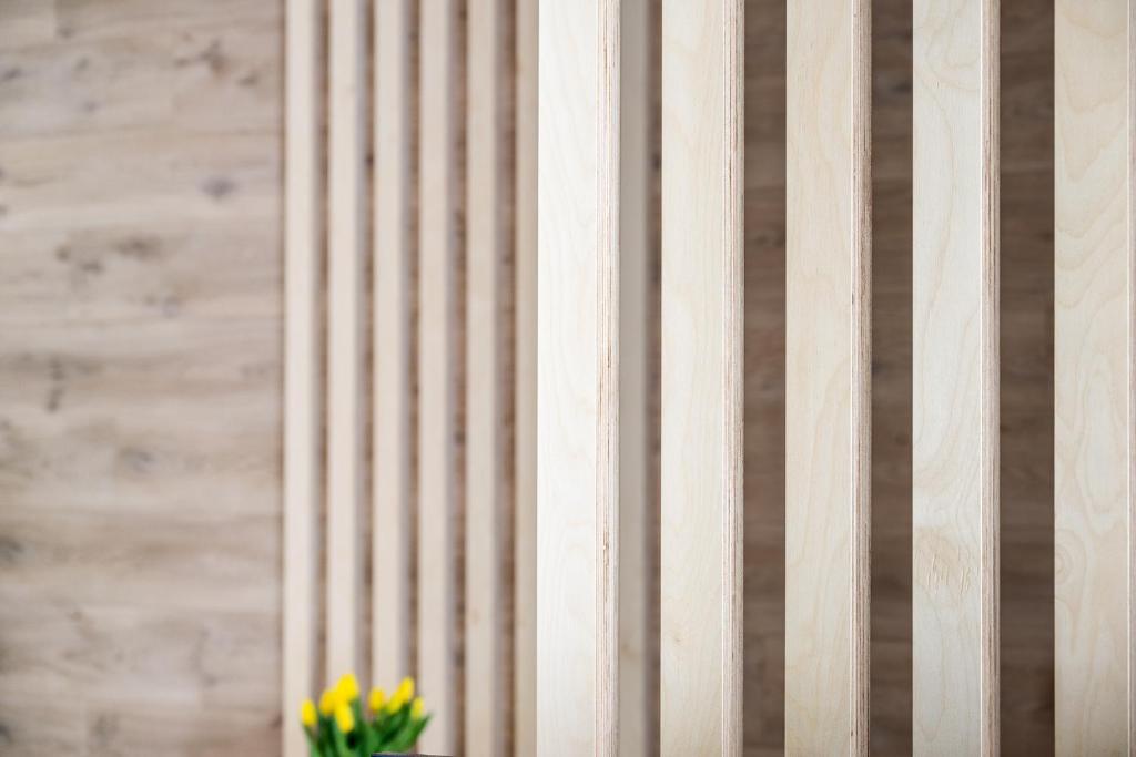 Apartmány u Lesa - 18