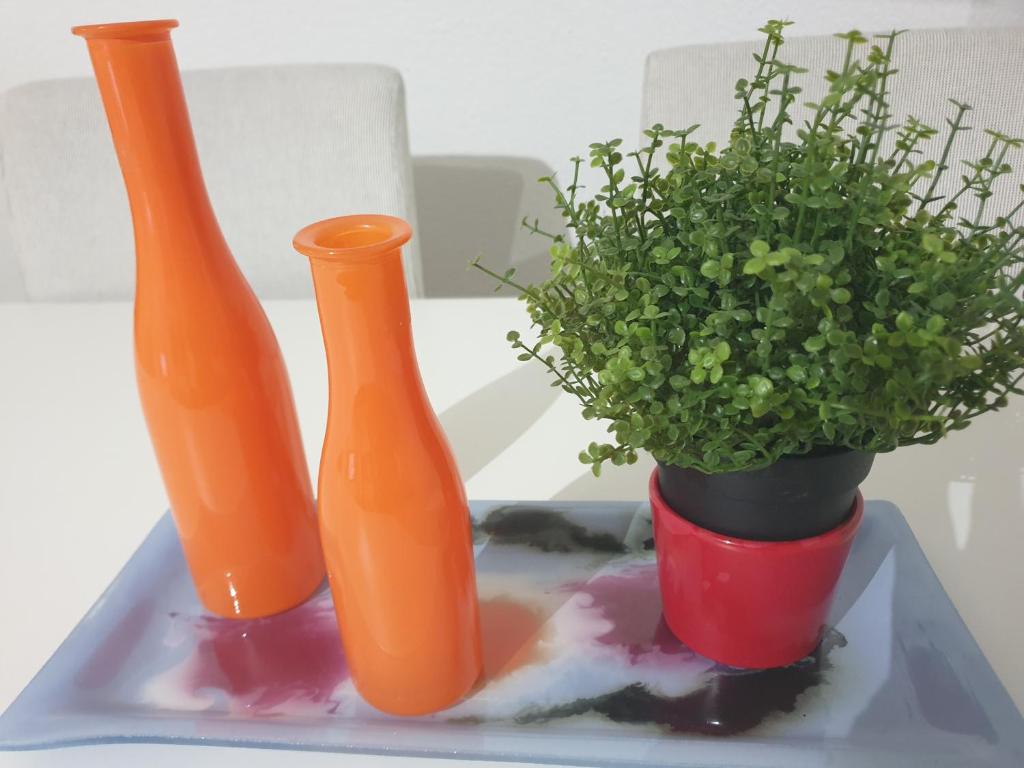 two orange vases and a potted plant on a tray at Stylish accommodation in the middle of Wiesbaden in Wiesbaden