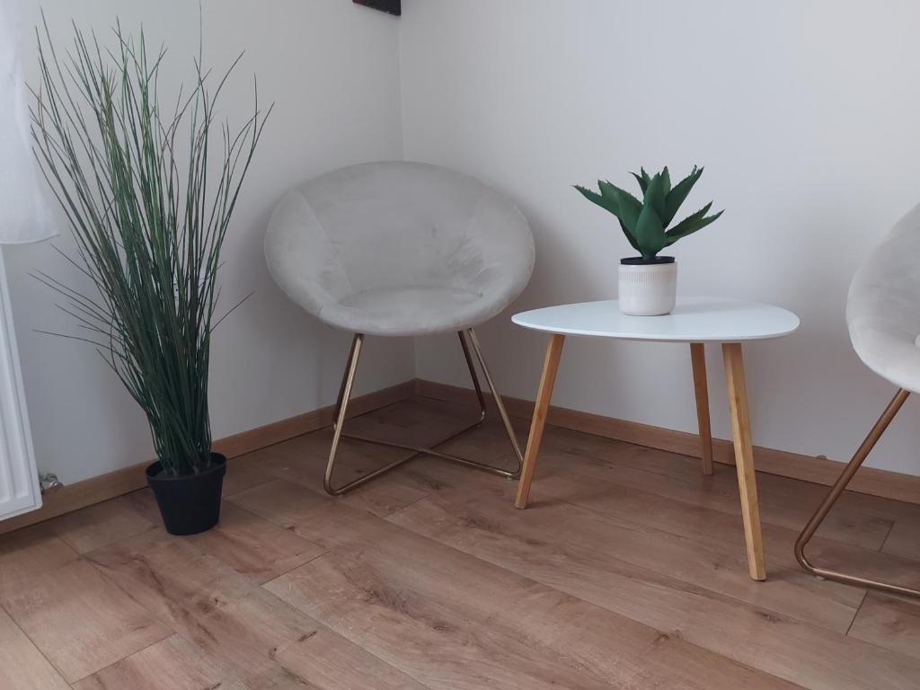 Fotografia z galérie ubytovania Crystal Apartman v destinácii Eger
