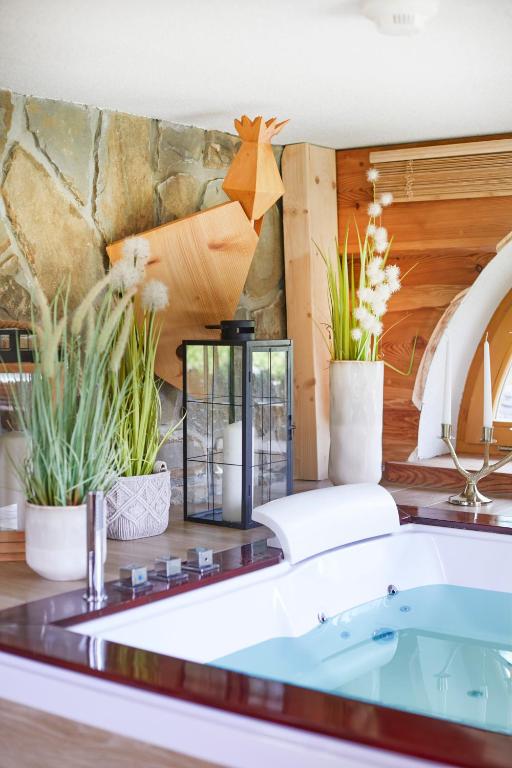 Bazén v ubytovaní Witkówka WILD Luxury Apartments - Sauna & SPA x Adults Only alebo v jeho blízkosti