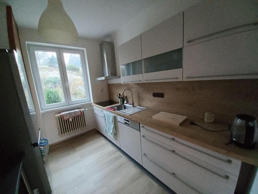Kuchyň nebo kuchyňský kout v ubytování Zlatá Olešnice, pomezí Jizerek a Krkonoš