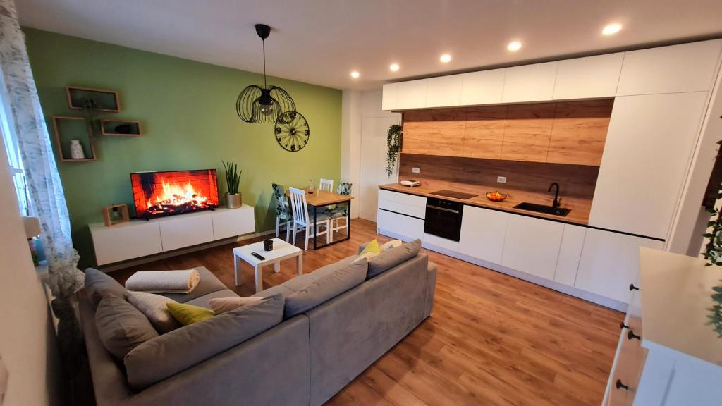 a living room with a couch and a fireplace at Apartman Noa in Jušići
