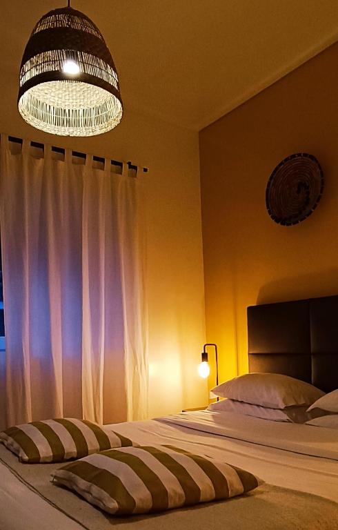 Aveiro Rossio Lodge - 17