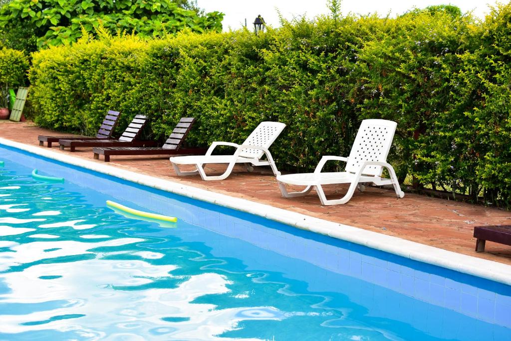 Bazén v ubytování Palmas Park Hotel y Restaurant nebo v jeho okolí
