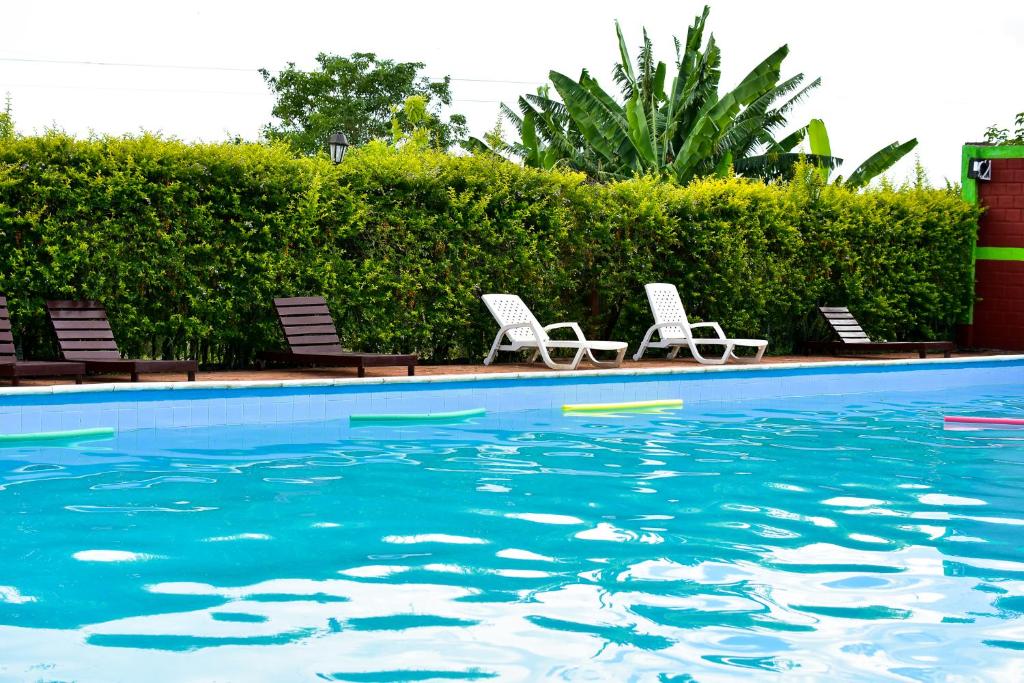 Bazén v ubytování Palmas Park Hotel y Restaurant nebo v jeho okolí