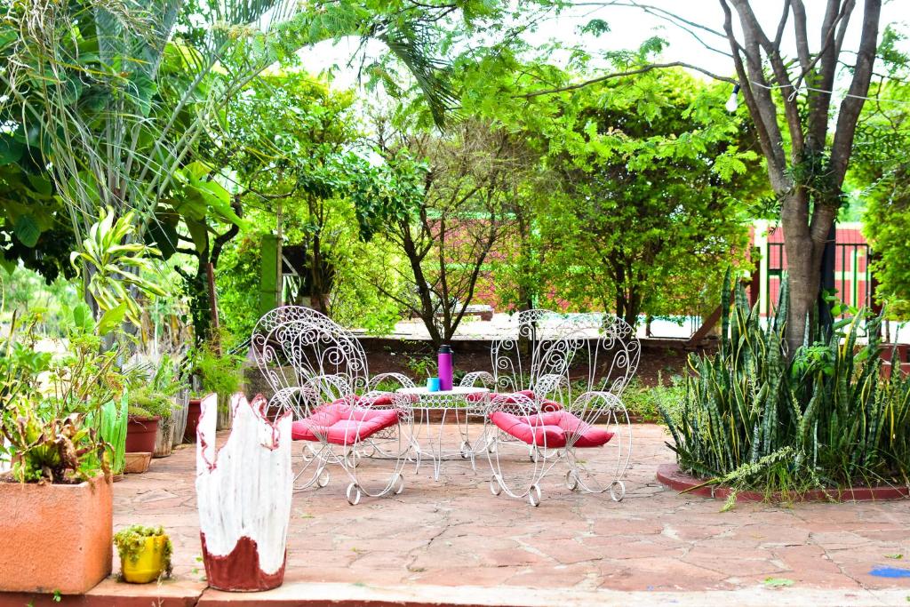 Zahrada ubytování Palmas Park Hotel y Restaurant