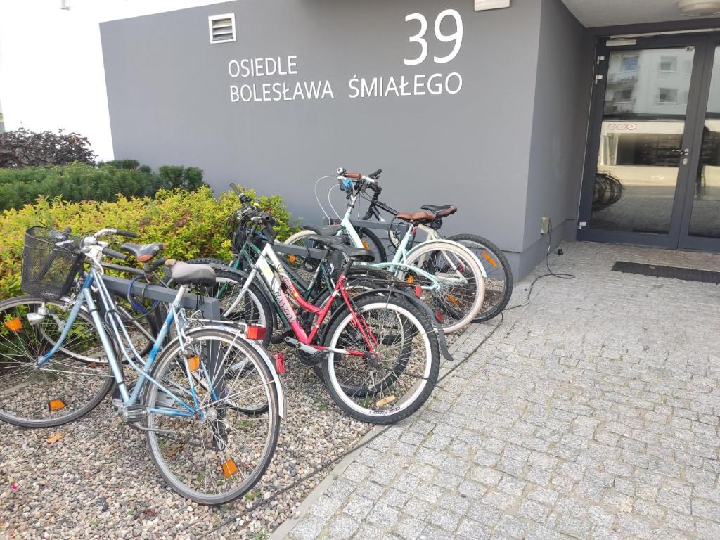Jazda na bicykli v okolí ubytovania 1110 Śmiałego 39 - Tanie Pokoje w Apartamencie - samodzielne zameldowanie - self check in