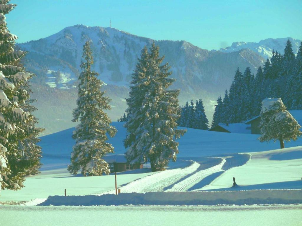 Urlaubshof Bechteler v zimě