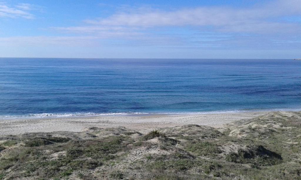 una vista aerea su una spiaggia e sull'oceano di Da Antonio a Càbras