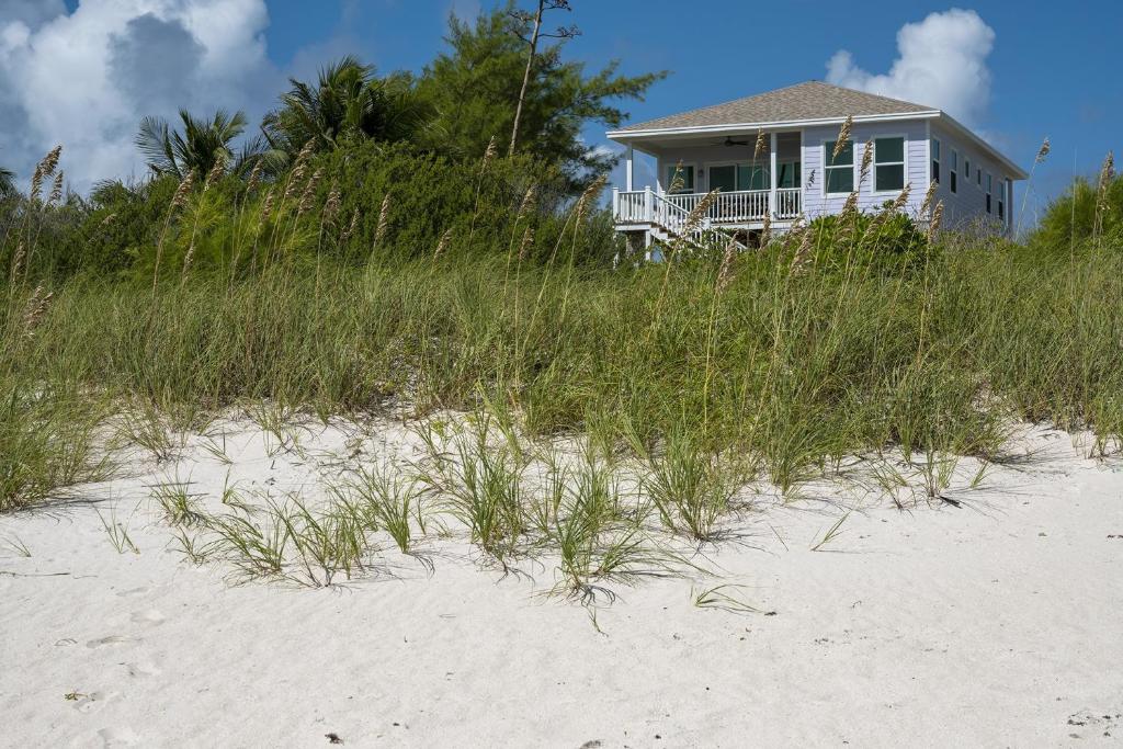 una casa seduta in cima a una spiaggia con erba alta di Lavender Beach House home a James Cistern