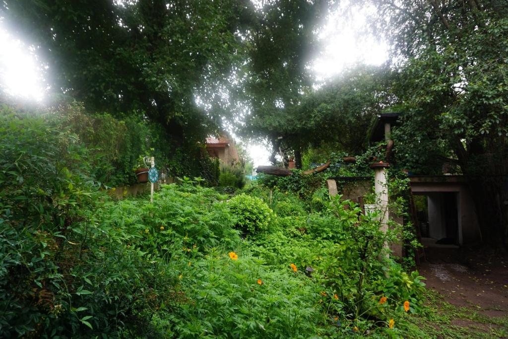 un jardín con arbustos verdes y árboles y una casa en La Posta San Fernando en Villa Allende