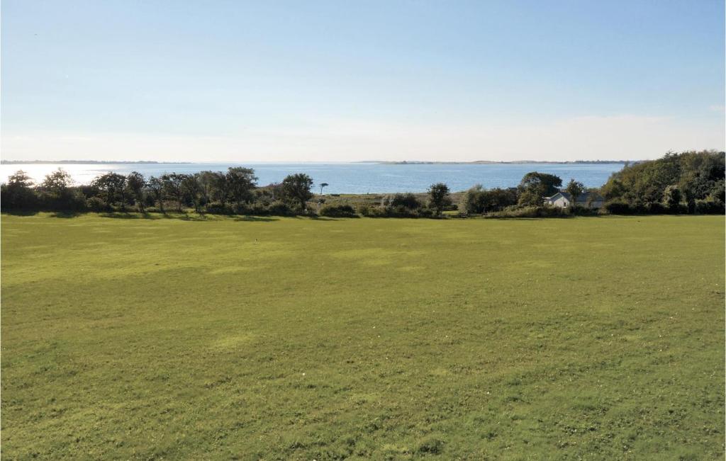 a large green field with the ocean in the background at 4 Bedroom Amazing Home In Faaborg in Fåborg