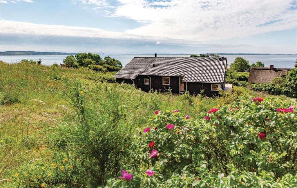 dom w środku pola z kwiatami w obiekcie Three-Bedroom Holiday Home In Kalundborg w mieście Kalundborg
