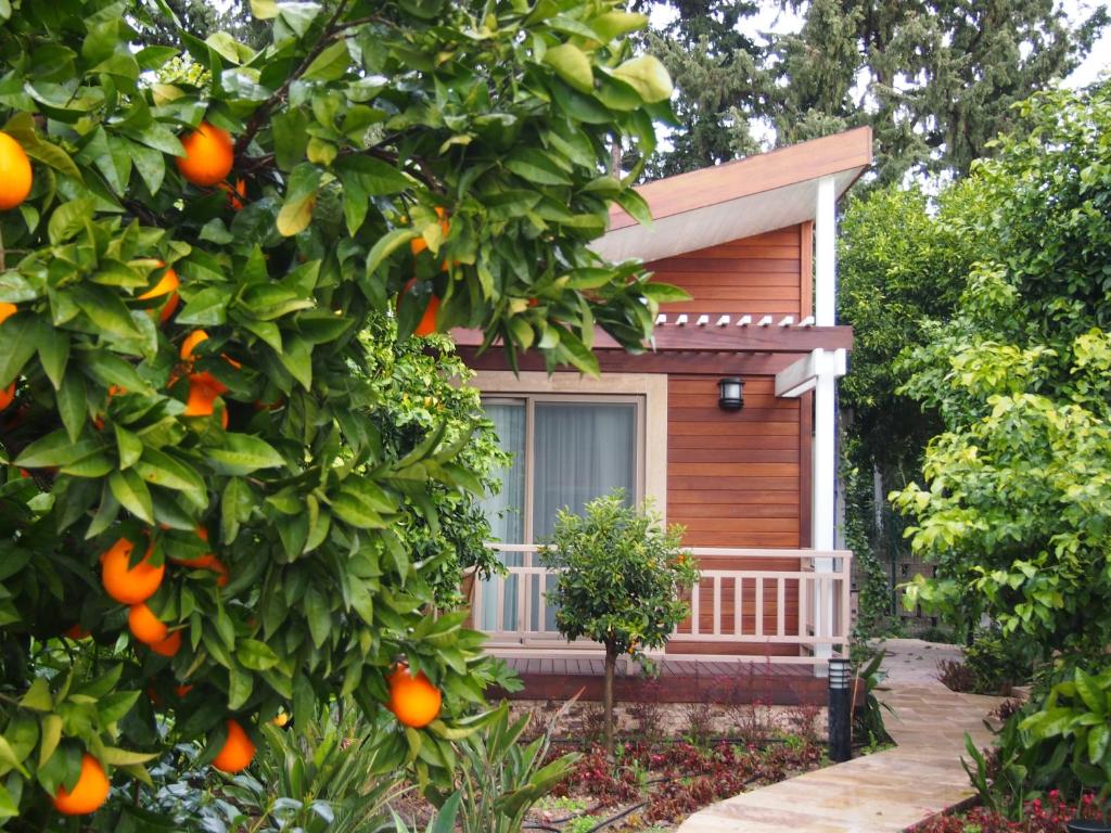 Сад в Kimera Lounge Boutique Hotel & Spa