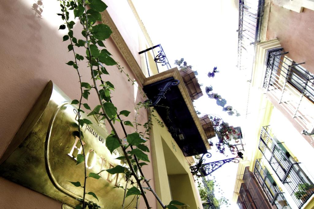 Balkón alebo terasa v ubytovaní Un Patio en Santa Cruz