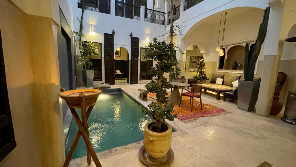 a house with a swimming pool with a potted plant at Riad Dar Massai in Marrakesh