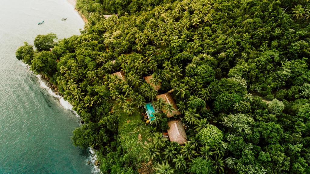 an aerial view of an island with trees and water at Moro Ma Doto in Busobuso