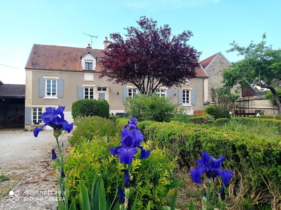 La Maison de Jules et Adèle - Housity