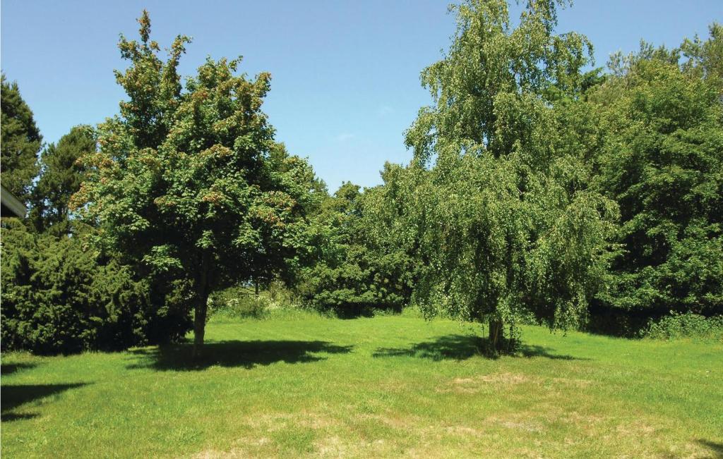 Zahrada ubytování Fyrreløs