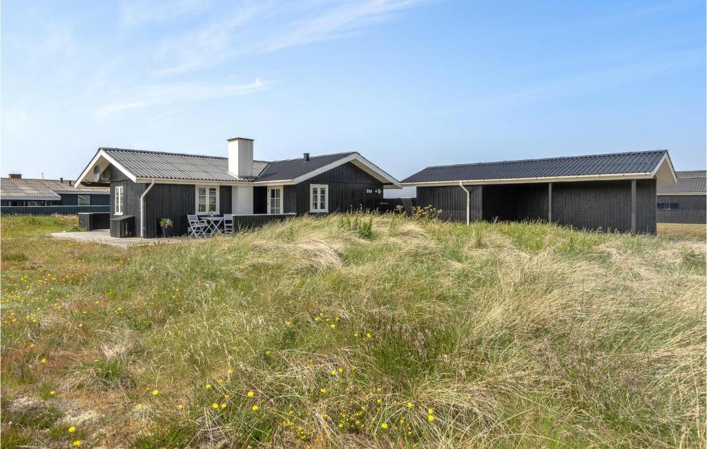 Bjerregårdにある3 Bedroom Gorgeous Home In Hvide Sandeの草原の頂上の家