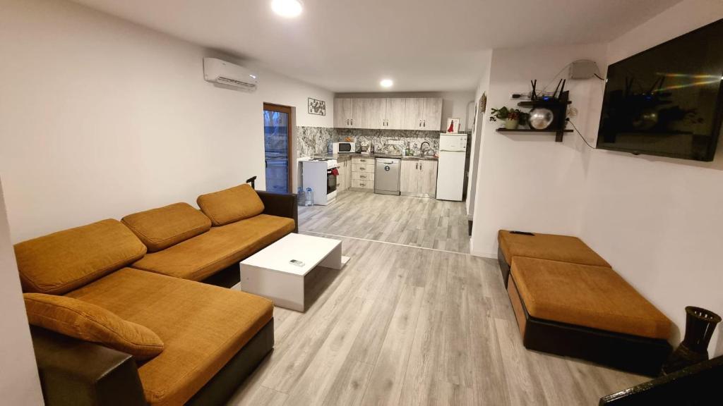 a living room with a couch and a kitchen at Cabana Porolissum in Moigrad