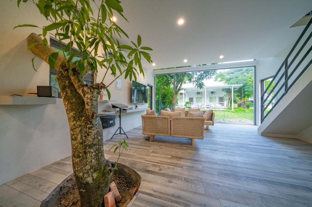 a house with a tree in the middle of a living room at Cloud Sun Homestay in Zhixue