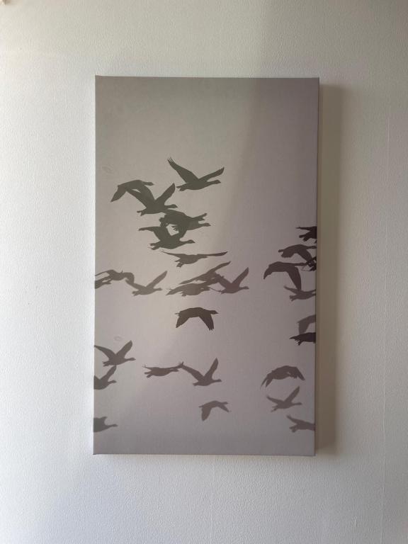 a flock of birds flying in the sky at LuanaApartments # 43 in Otopeni
