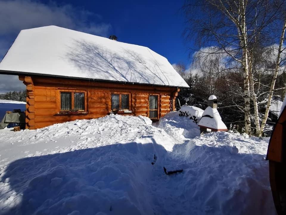 una cabaña de madera con una pila de nieve delante de ella en Zrub na Briežku en Krahule