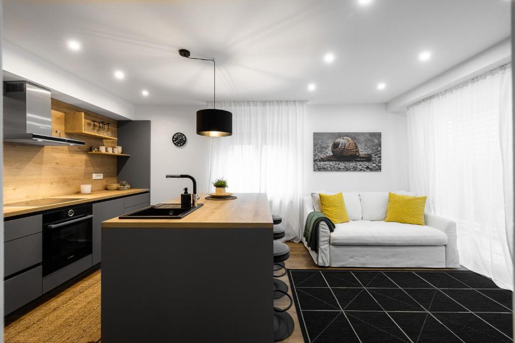 Il comprend une cuisine et un salon avec un canapé. dans l'établissement Apartmaji Spalina, Ivančna Gorica, 