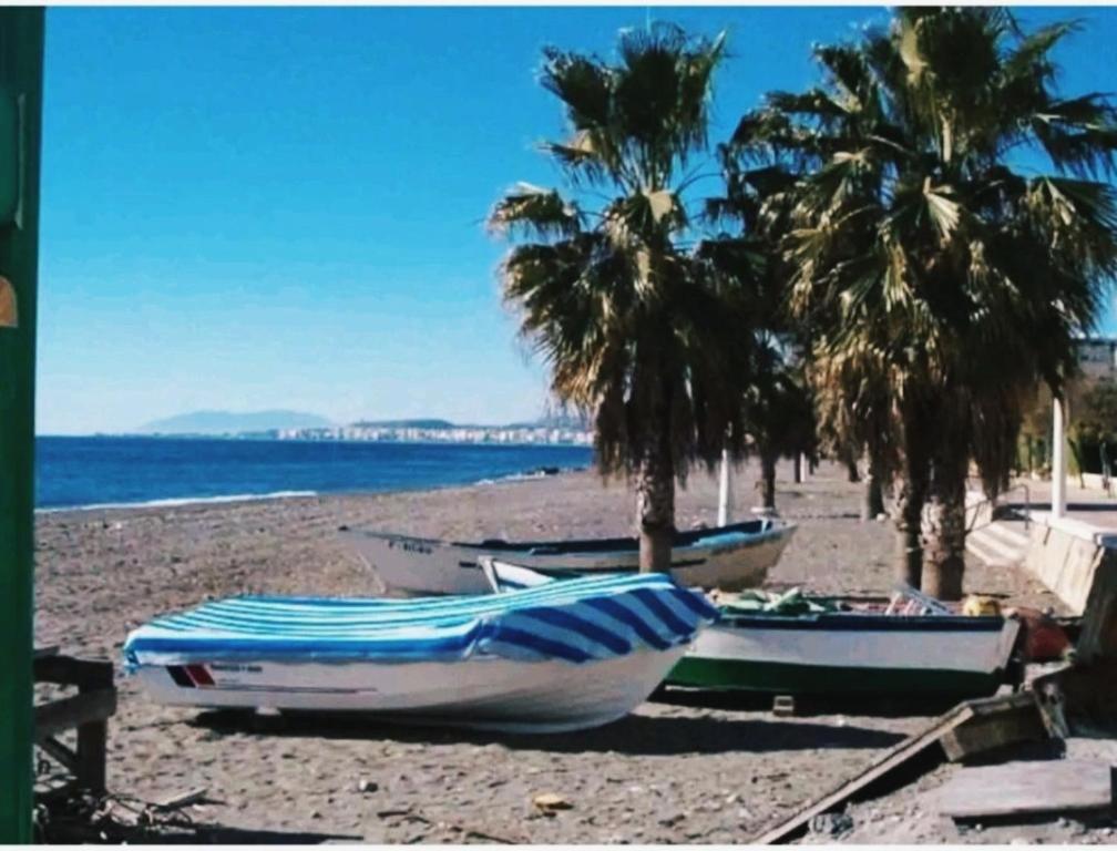 - un groupe de bateaux sur une plage bordée de palmiers dans l'établissement Precioso apartamento con garaje en Avenida Andalucía 77 playa Mezquitilla, à Algarrobo