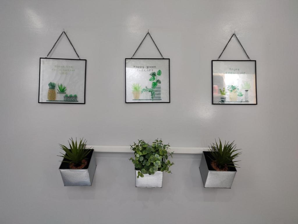 a wall with four pictures of plants on it at Chaleureux Appartement à 1 min à pied de la Mosquée Hassan II in Casablanca