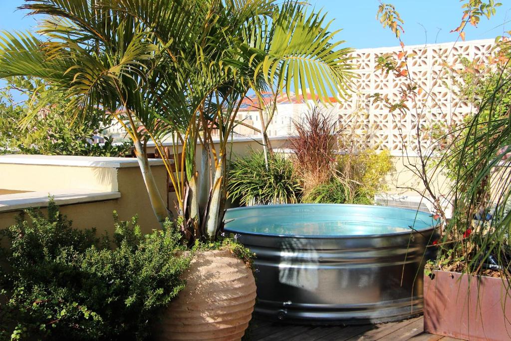 a large metal barrel with palm trees in a garden at Jungle in Town - Central Jaffa in Tel Aviv
