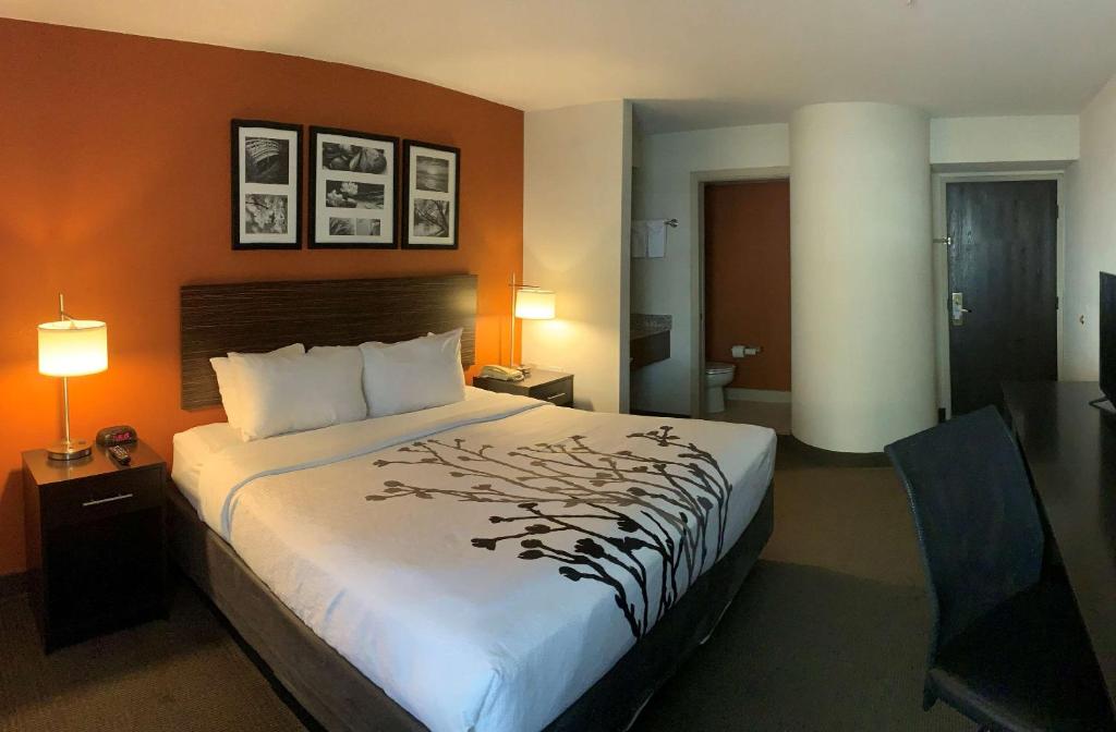 Postel nebo postele na pokoji v ubytování Sleep Inn Phoenix North I-17