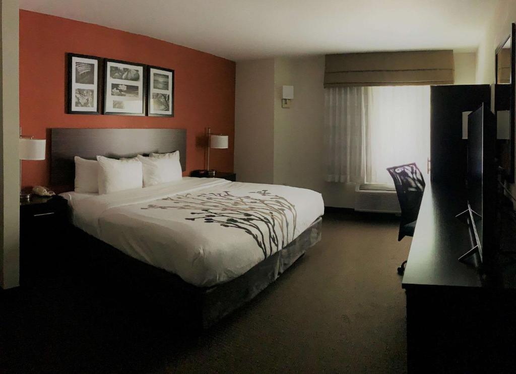 Postel nebo postele na pokoji v ubytování Sleep Inn Phoenix North I-17