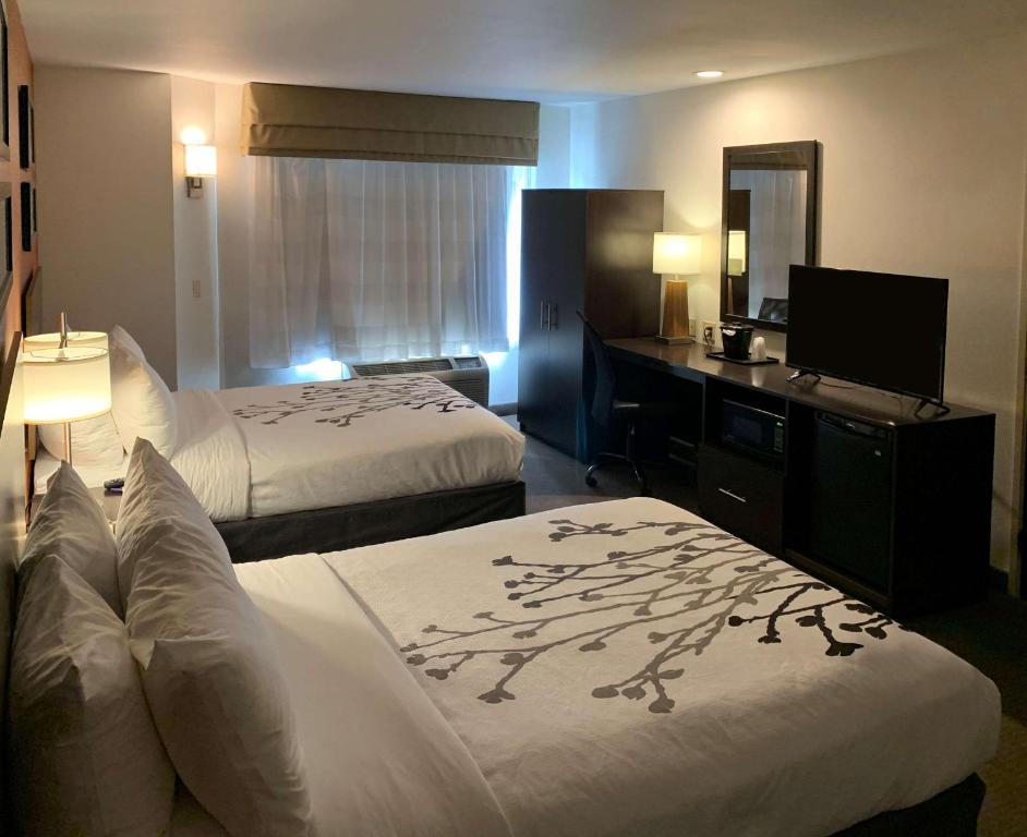 Postel nebo postele na pokoji v ubytování Sleep Inn Phoenix North I-17