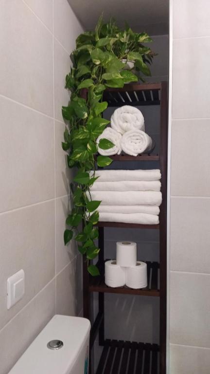 La Villa del Sastre - 19