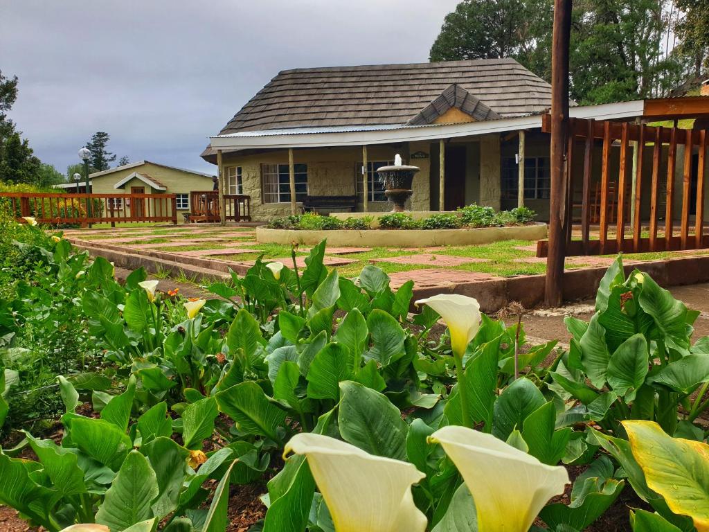 a house with a lot of green plants in front of it at Gooderson Leisure Mountain View Cottages Self Catering and Timeshare Resort in Drakensberg Garden