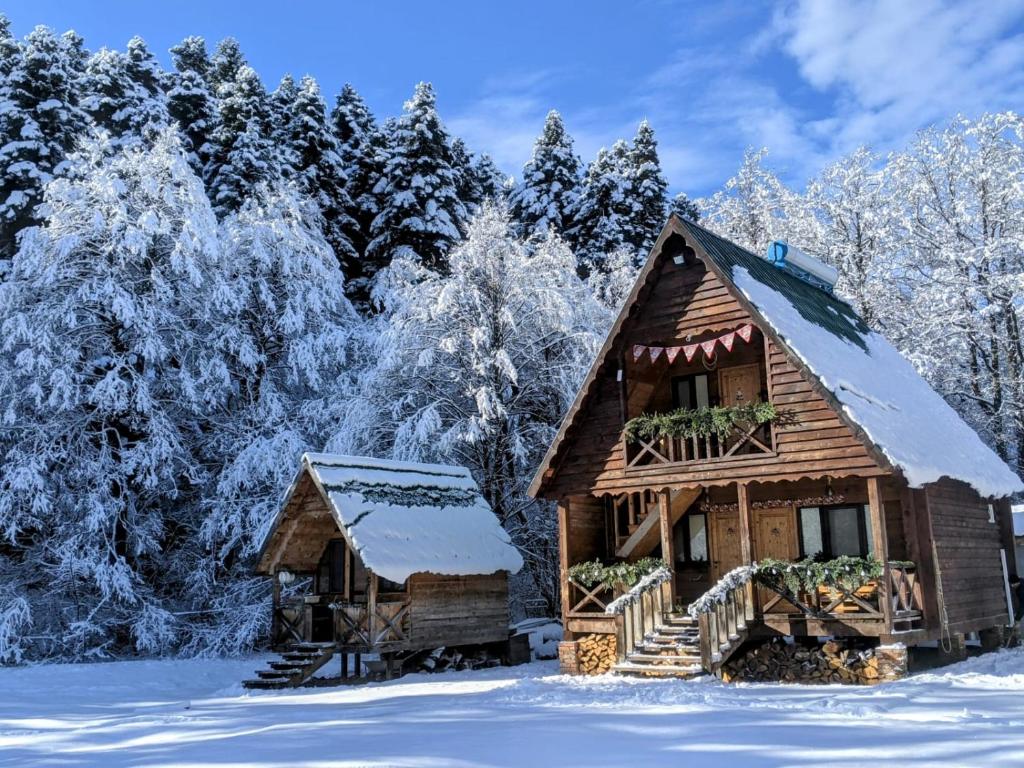 Cottage Tsivtskala in Racha, near Shaori في Kʼveda Tʼlughi: كابينة خشبية في الثلج مع الأشجار