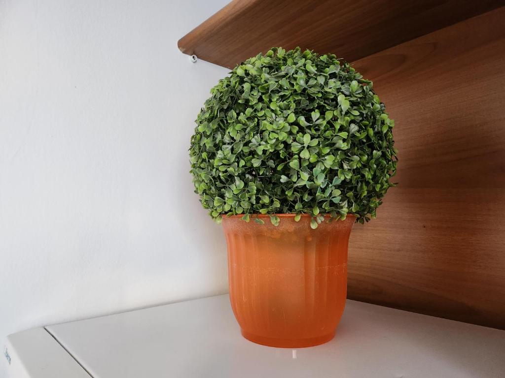 Comfort Accommodation Residence - 7