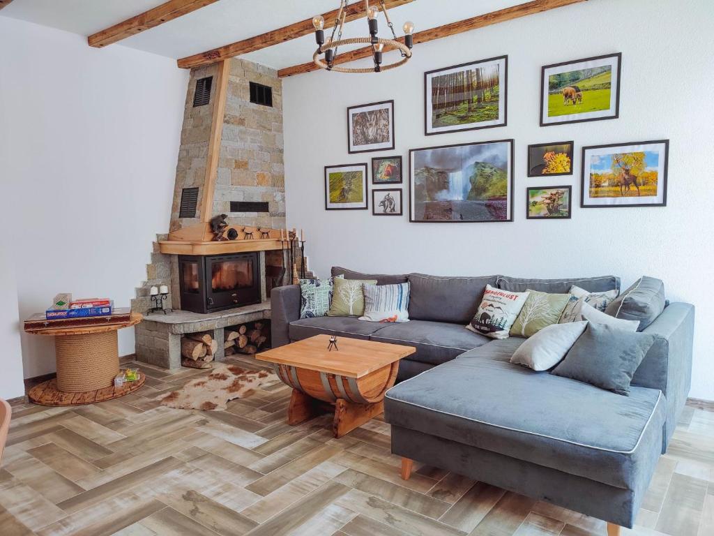 uma sala de estar com um sofá e uma lareira em Villa Tangra em Grashtitsa
