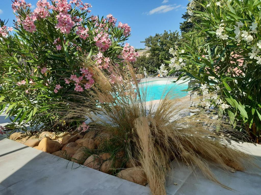 um jardim com flores e rochas junto a uma piscina em L'EN HAUT em Aramon