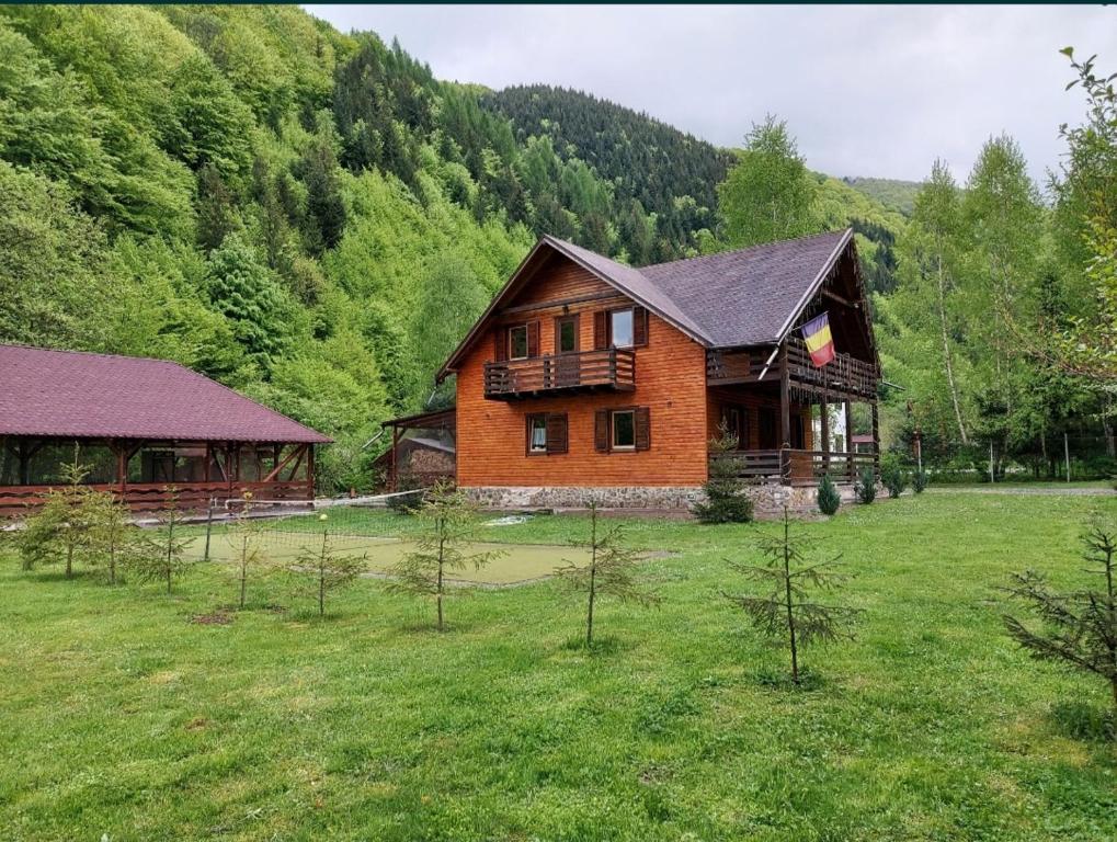 a large wooden house in the middle of a field at Cabana Lăcrămioara in Dejani