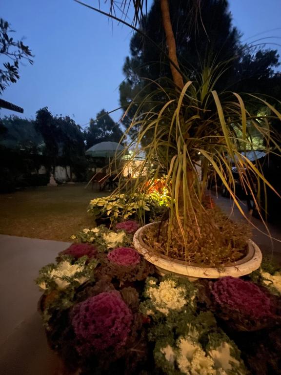 Zahrada ubytování The Stay Inn New Delhi