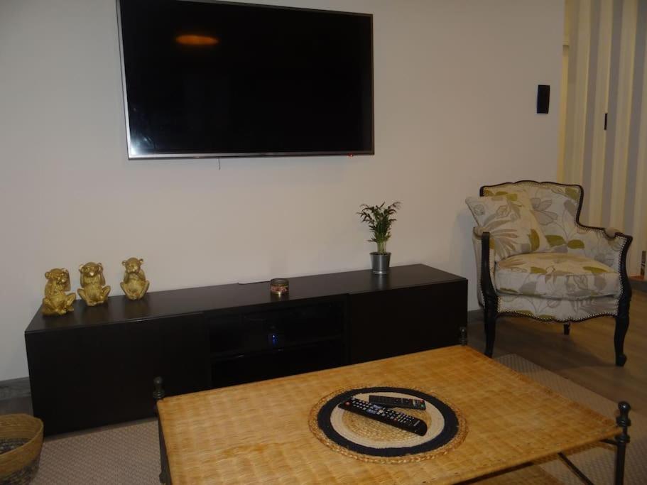 TV a/nebo společenská místnost v ubytování Cosy Loft - Appartement de charme