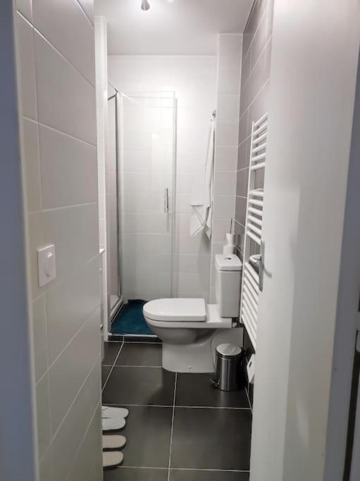 a white bathroom with a toilet and a shower at Beau T2 hypercentre bien équipé in Quimper