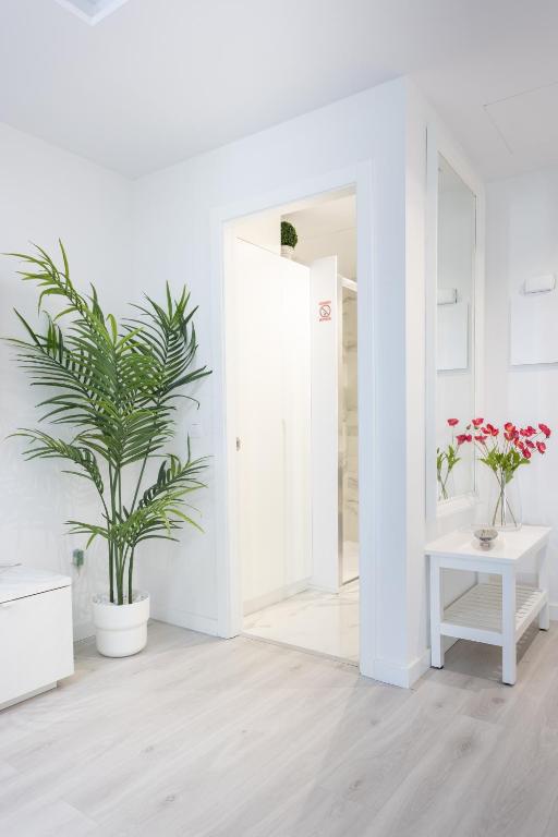 Kép Home2Book Olympo Suite szállásáról Santa Cruz de Tenerifében a galériában
