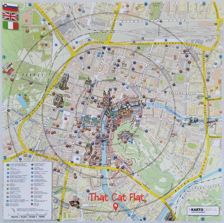 That Cat Flat - free parking, near city center, cats! - Appartement