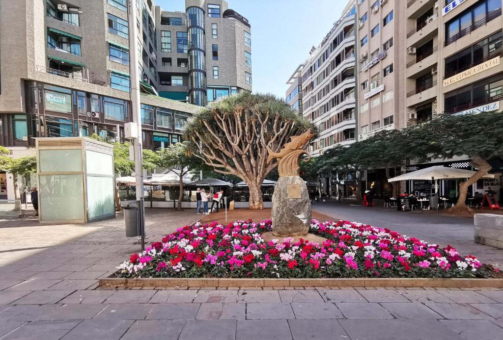 Kép Home2Book Olympo Suite szállásáról Santa Cruz de Tenerifében a galériában