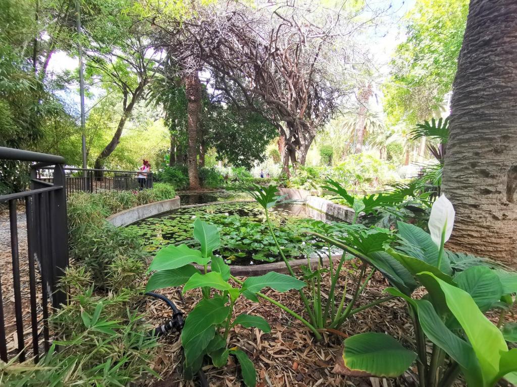 A garden outside Home2Book Olympo Suite